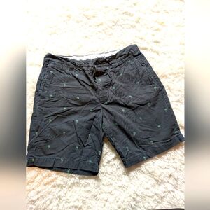 EUC H&M Waist 34 Dark Gray Shorts with Green Palm Accents